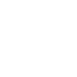 Vkontakte